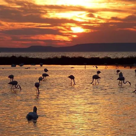 Апартаменты Aux Salins Du Lion